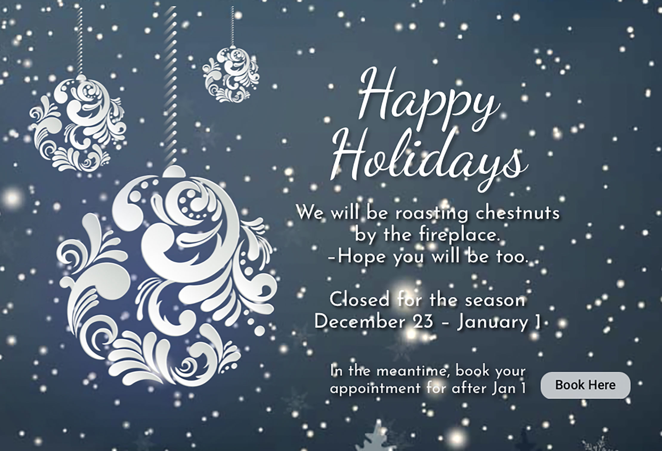 happy-holiday-banner-from-bella-bleu-bridal-2024-pu